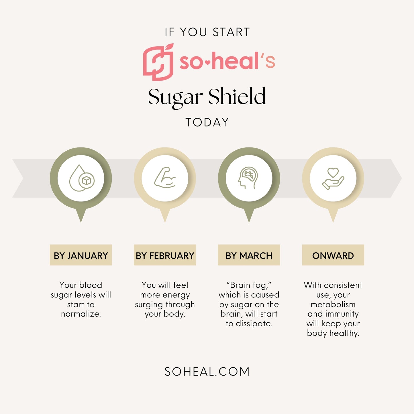 Sugar Shield Defense Supplement - Cinnamon, Chromium, Vanadium, Triple Protection for Heart, Metabolism, Energy - 60 Capsules, Made in USA