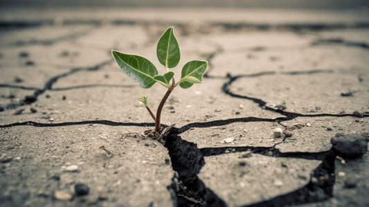 How to Build Resilience and Coping Skills for Better Mental Health