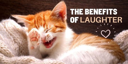 The Benefits of Laughter: How It Can Improve Your Health and Happiness