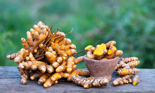 The Surprising Benefits of Turmeric for Your Dental Health