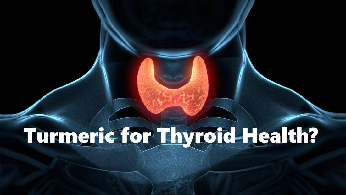 Turmeric and Thyroid Health: How It Can Help Regulate Hormones