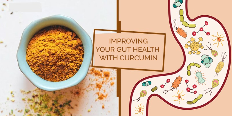 Turmeric and Digestive Health: How It Can Help Improve Your Gut