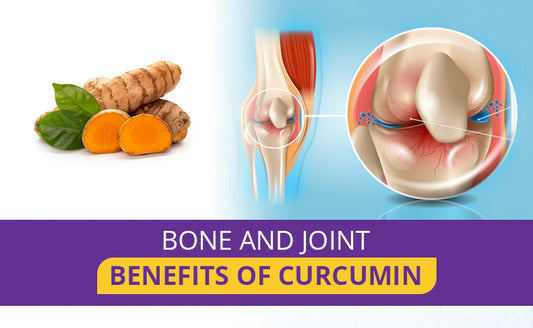 Turmeric and Bone Health: How It Can Help Strengthen Your Bones